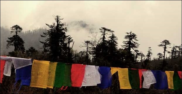 colourful_flags_sikkim_darj
