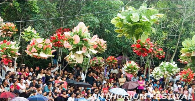 Anthurium festival of Mizoram is celebrated to promote tourism in the state.