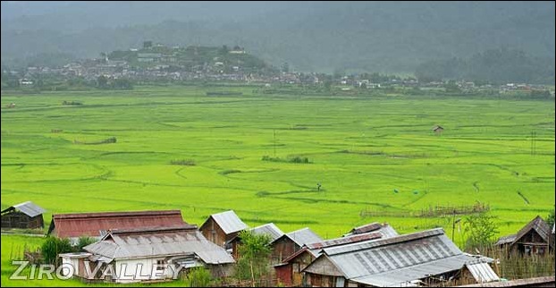 Ziro Valley is a small village in Arunachal Pradesh