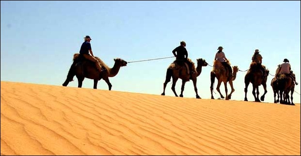 Camel Safari Tours Are Popular in Cities of Rajasthan
