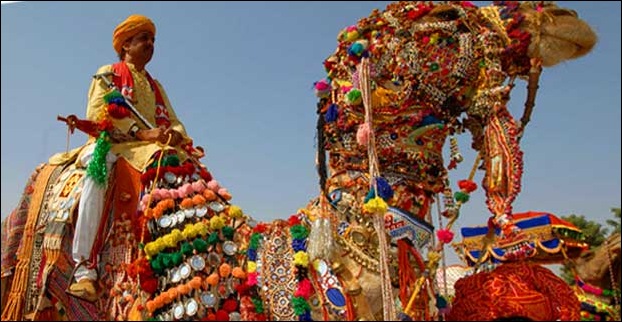 A decorated camel ready for camel festival in Rajasthan
