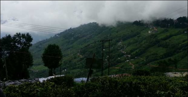 A view of the mountains from Tea Garden 