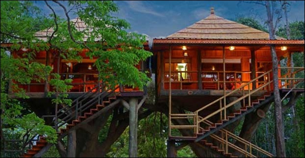 a tree house in Periyar National Park