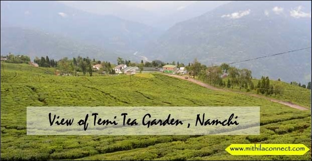 temi_tea_garden_namchi