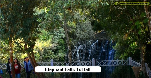 first_fall_elephant_fall