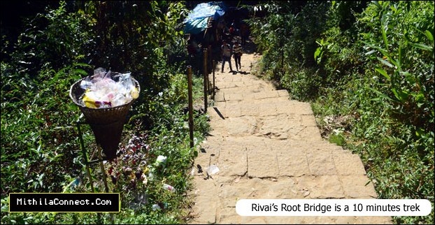 Living root bridge is a 10 minutes walk from entrance