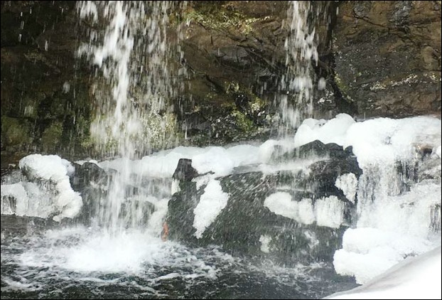 Frozen Chadwick Falls in Shimla after snowfall