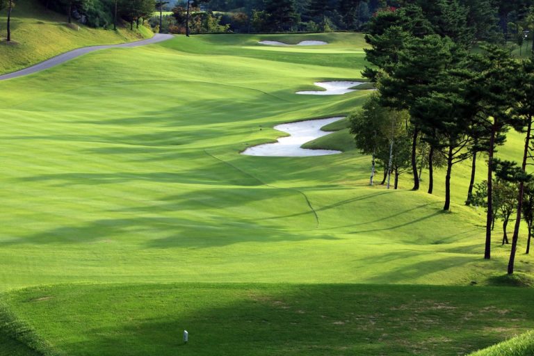 Top Naldehra Attractions in Shimla for Tourists