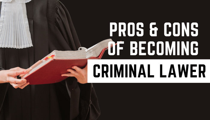 pros and cons of being a criminal lawyer