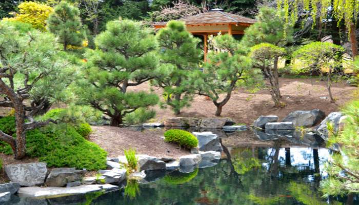 Before you can begin creating your Zen garden, you'll need to clear the area of any existing vegetation or debris
