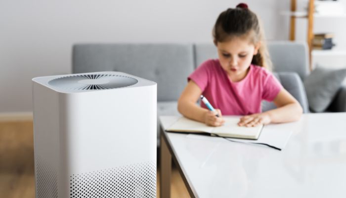 4 Things a Purifier Removes From the Air in Your Home