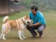 AKita Dog Playing with owner in India