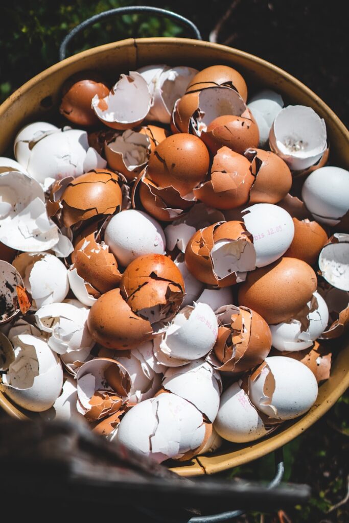 egg shell