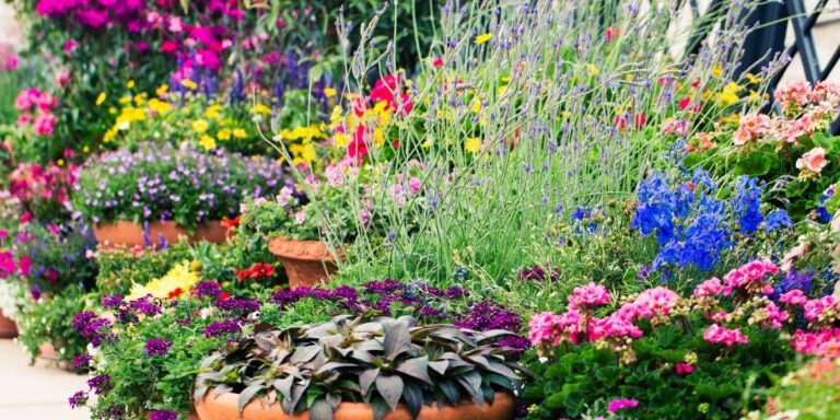 15 Flowers That Smell Amazing for Your Backyard Garden